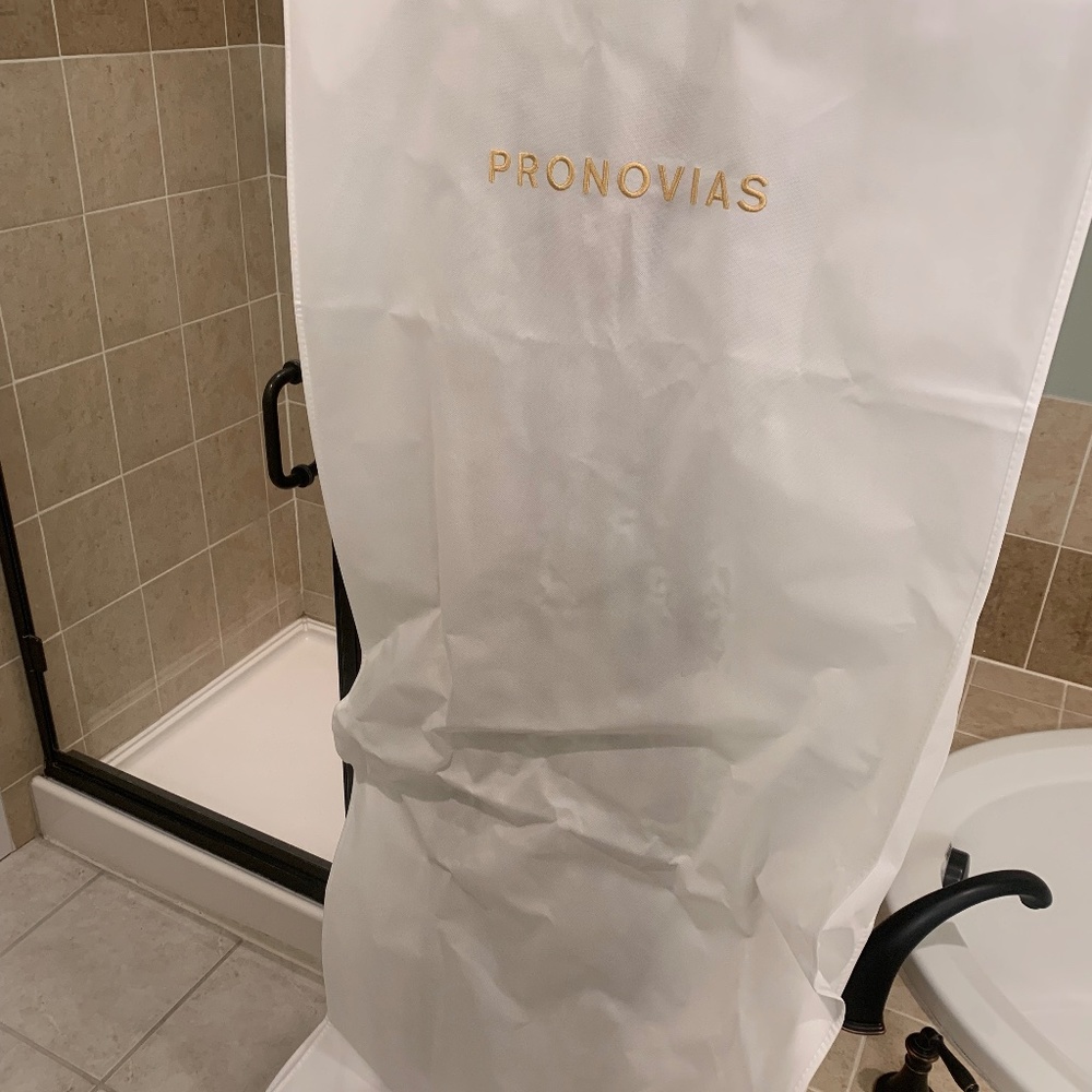 Pronovias Privee Panjin Wedding Dress